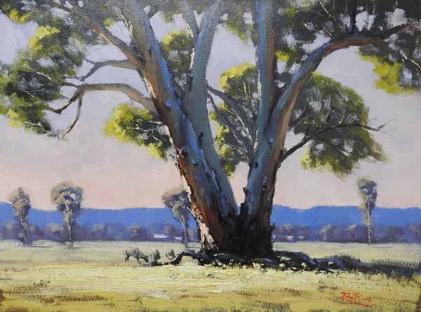 Image of Eurunderee Afternoon