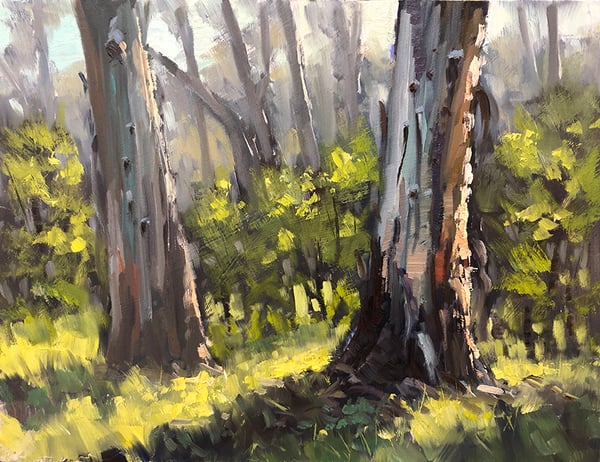 Image of Two Gums, Mulgoa
