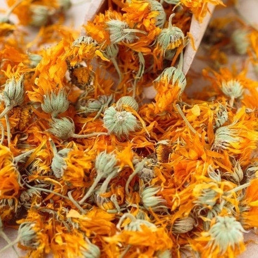 Calendula