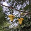 Chanterelle Earrings