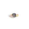 R001 RING _ VERMEIL & SILVER