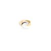 R001 RING _ VERMEIL & SILVER