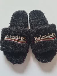 Image 2 of Teddy borg slides