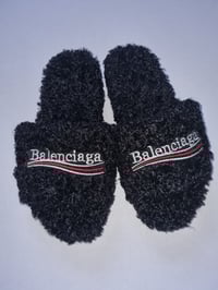 Image 3 of Teddy borg slides