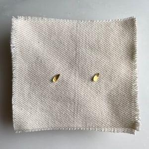Image of april earrings
