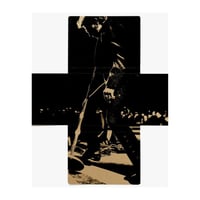 Image 5 of JOHNNY HALLYDAY PAR EZRA PETRONIO CHRONIQUE D’UN CONCERT – LIMITED EDITION