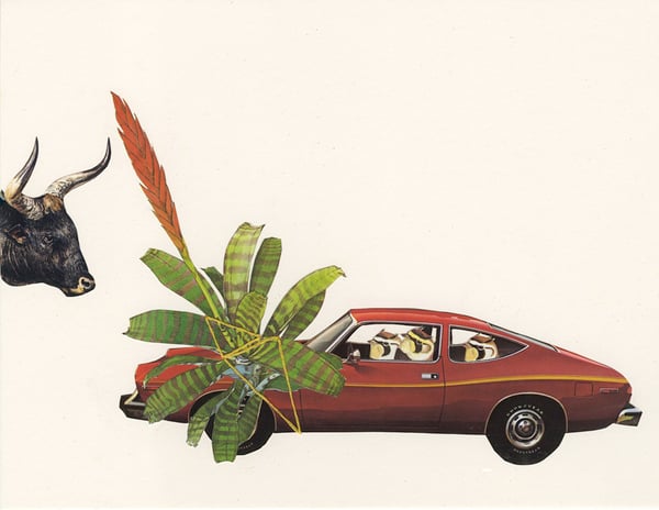 Image of A bevy of larks in a Matador taunts a bull with a flaming sword plant. Original collage.