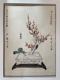 Ikebana 5