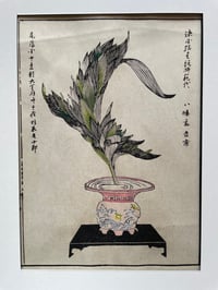 Ikebana 6