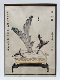 Ikebana 7