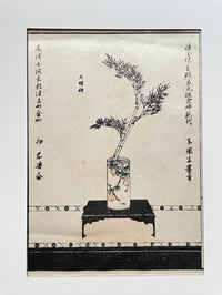 Ikebana 8