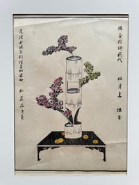 Ikebana 13