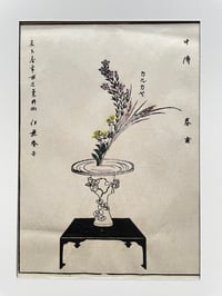 Ikebana 14