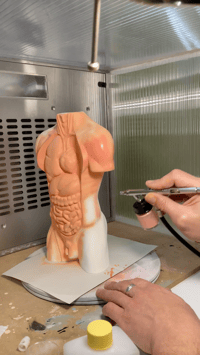 Image 4 of Anatomy Lamp
