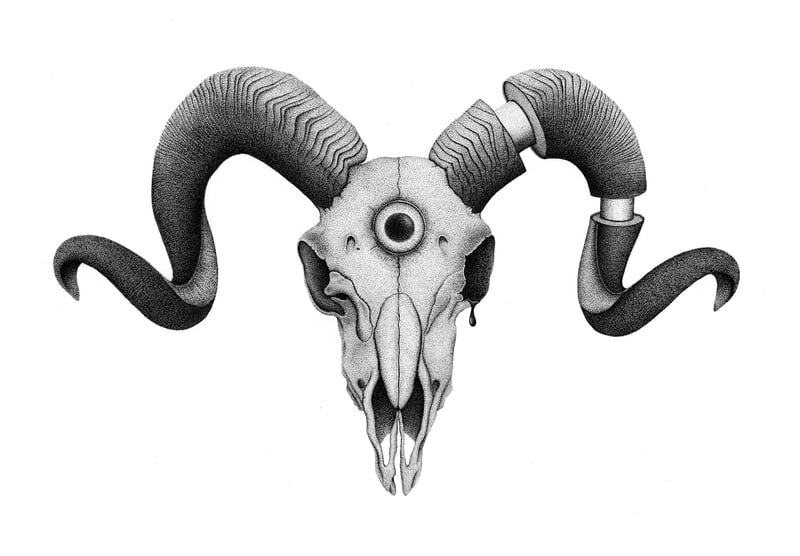 ram skull drawing