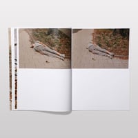 Image 5 of Melissa Schriek – The City is a Choreography (Signed)