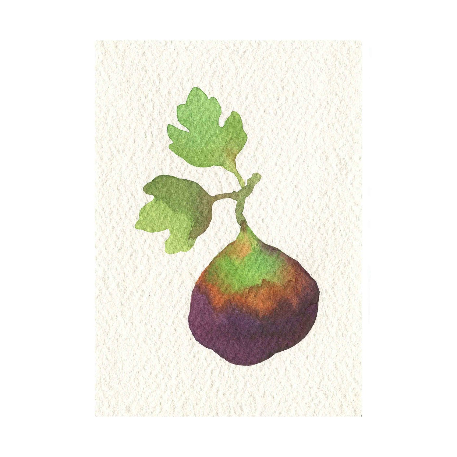 Fig