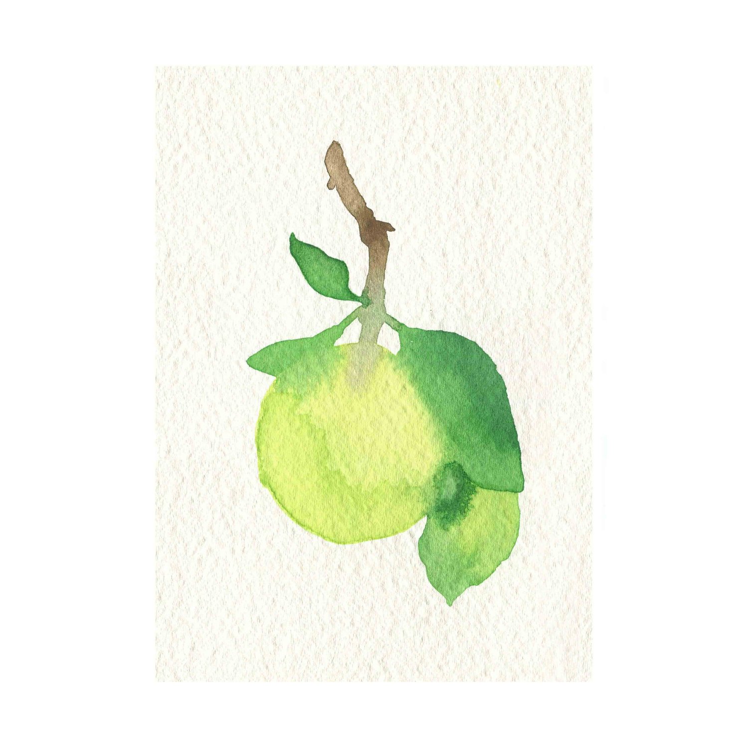 Green Apple