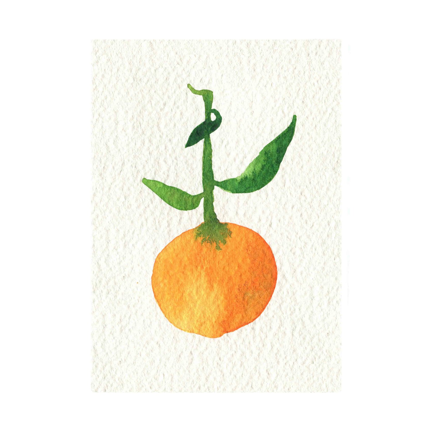 Tangerine (IV)