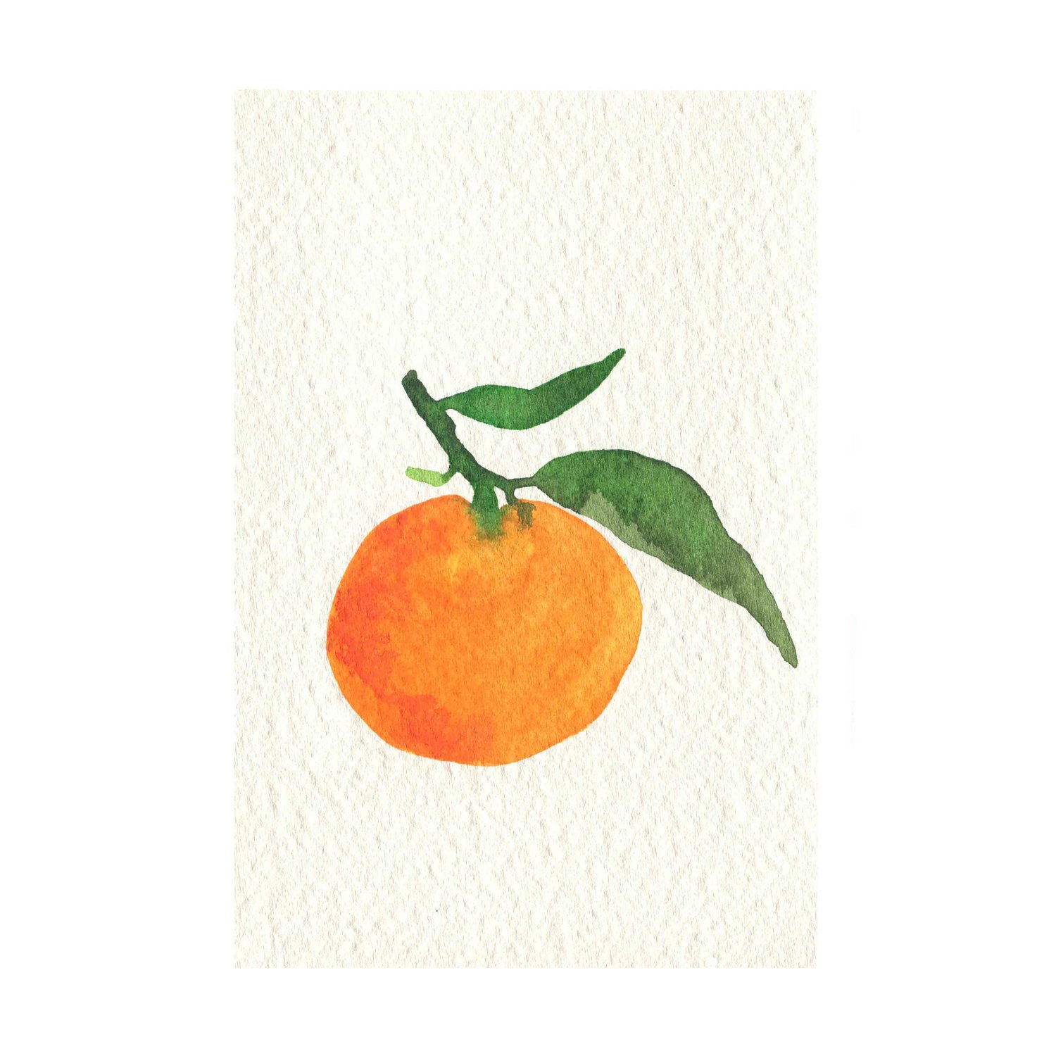 Tangerine (V)