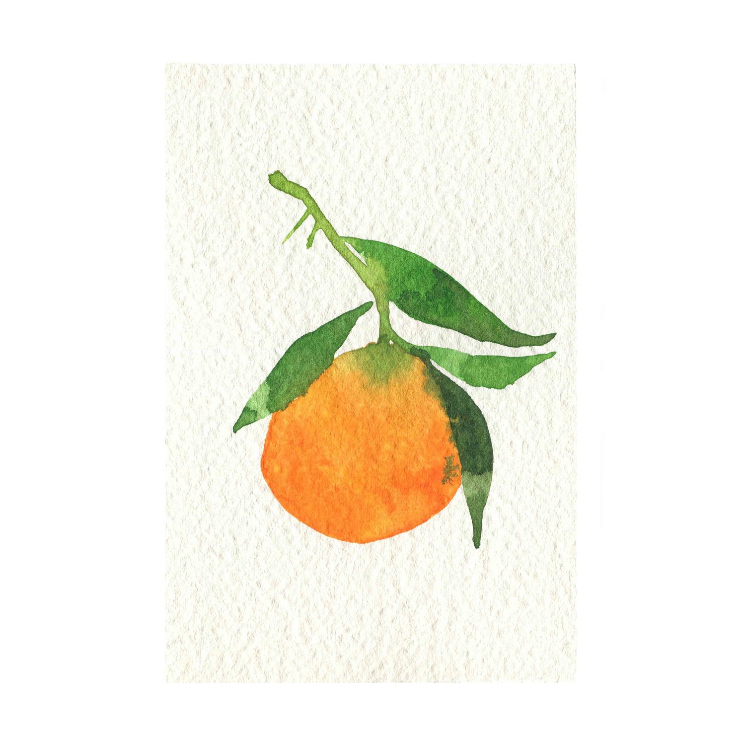 Tangerine (VI)