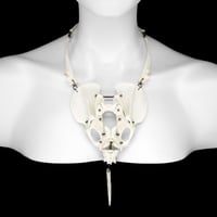 Image 1 of "Dida" Cat Bone and Dog Baculum Necklace