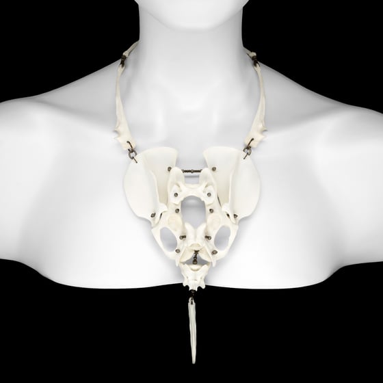 Image of "Dida" Cat Bone and Dog Baculum Necklace