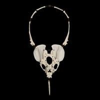 Image 4 of "Dida" Cat Bone and Dog Baculum Necklace