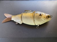 Image 1 of Tennessee Shad Swimmer 