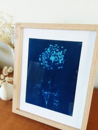 Image 2 of Carotte sauvage cyanotype sur tissu encadré