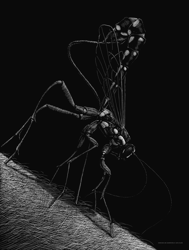 Image of »Parasitic Wasp« Screen Print
