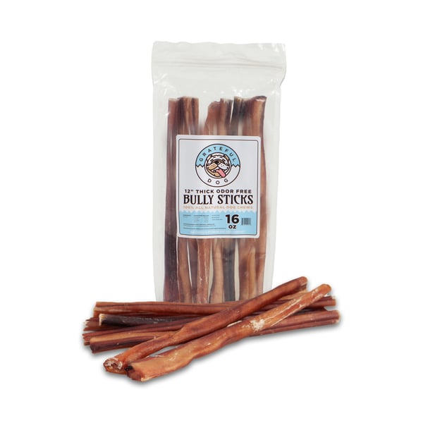 Image of Grateful Dog  12"  16 Oz Odor Free Bully Sticks