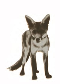 Image 2 of Fox printed mirror Perspex brooch