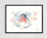 Rouge Gorge d'hiver - Aquarelle Originale