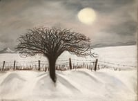 Hawthorn Tree in snow drifts, low winter sun. Flatts lane looking towards Roseberry Topping.