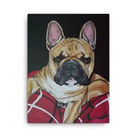 Image 2 of Frenchie King Louie