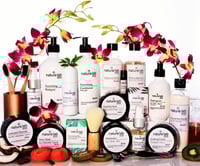 THE COMPLETE BUNDLE