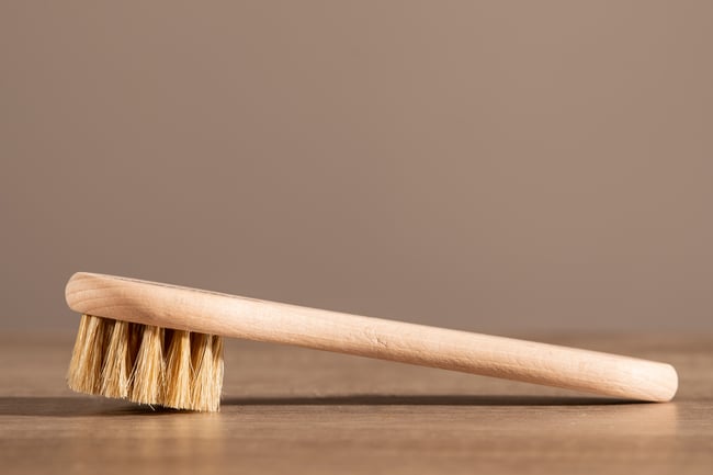 Reno-Protect application brush