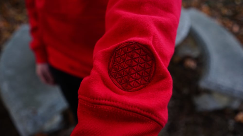 Image of FOL Red Hoodie
