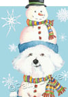 "Frosty Paws" New Year's cards (5-pack)