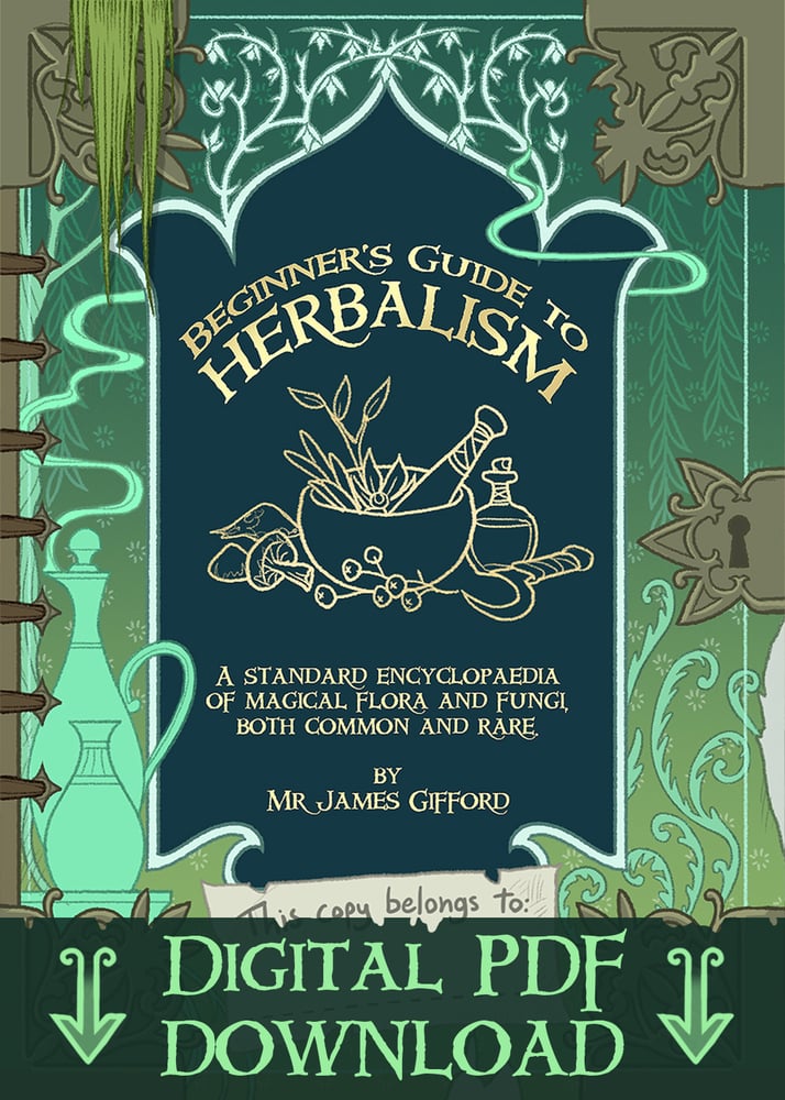 Image of Beginner's Guide to Herbalism - PDF Download