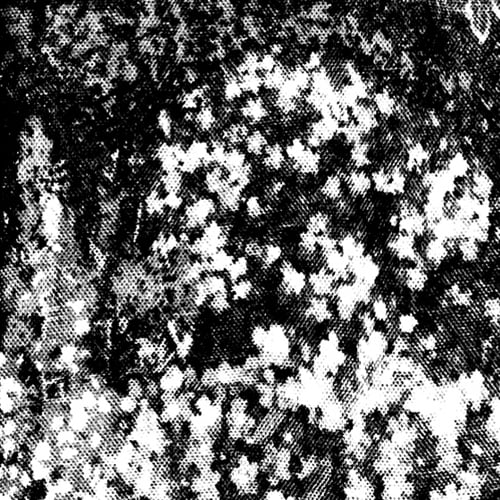 Image of #096 Camila Nebbia | Presencias | C35