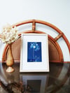 Cyanotype rebrodé au fil doré