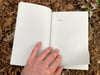 new york times poems