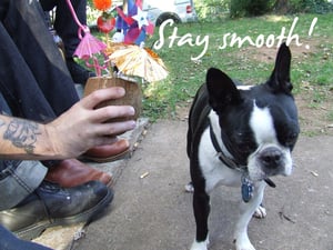 Image of Stay Smooth Postcard!