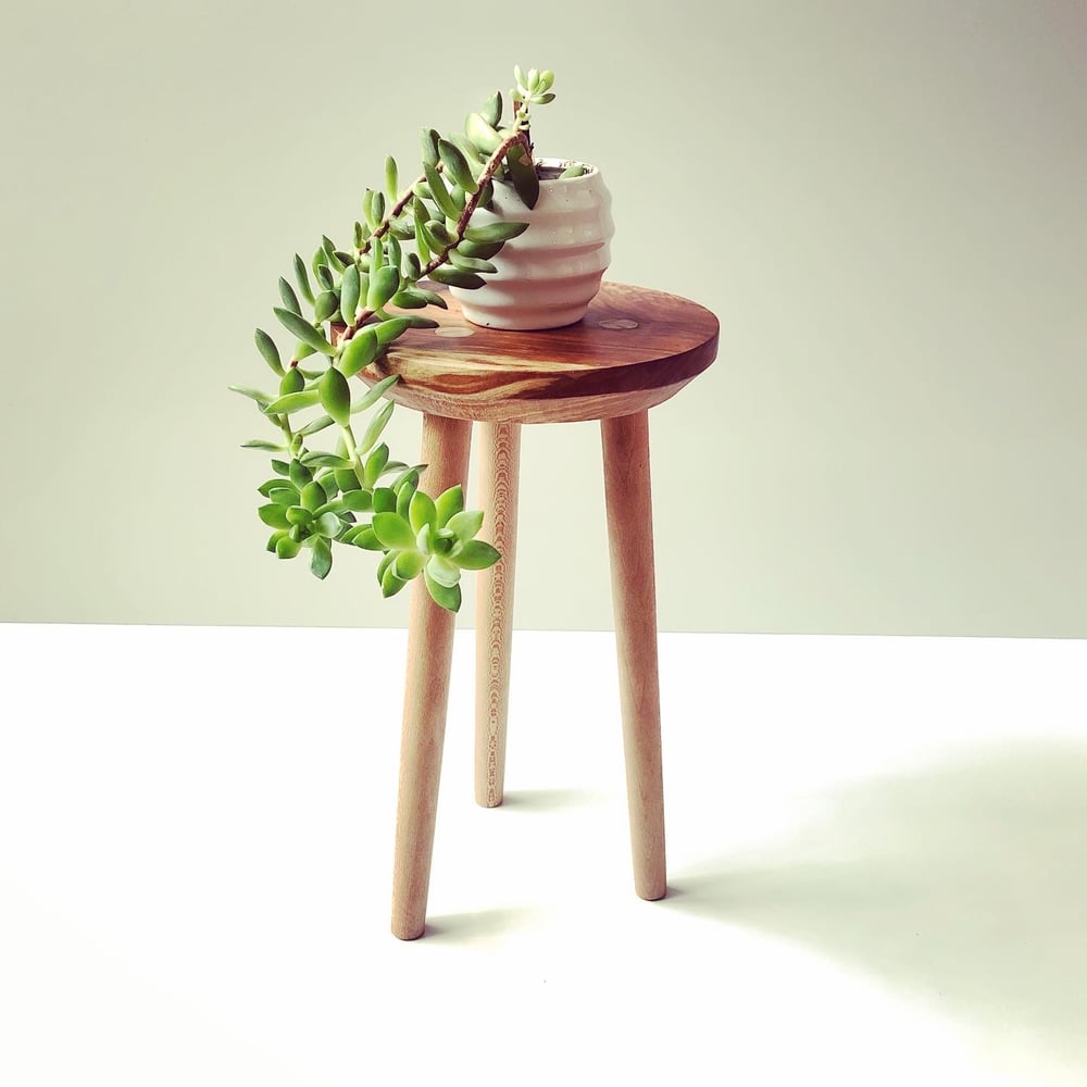 Image of Low Stool/Plant Stand