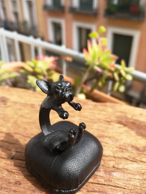 Image of ANILLO BULLDOG