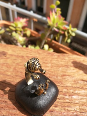 Image of ANILLO CARLINO