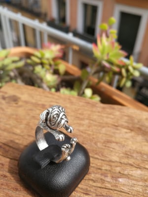 Image of ANILLO CARLINO