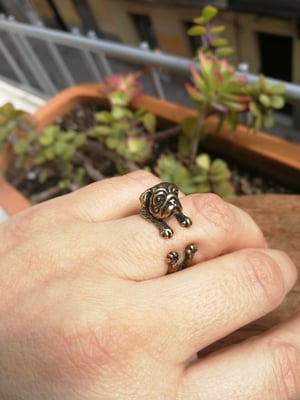 Image of ANILLO CARLINO